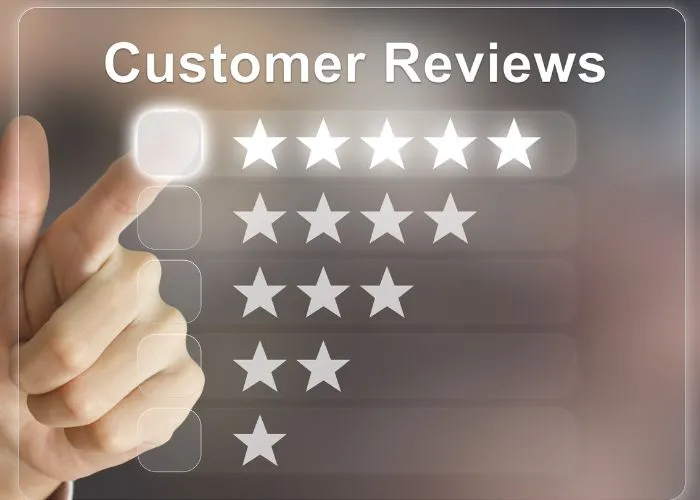 Client Testimonials: Success Stories with Our Web Design Team